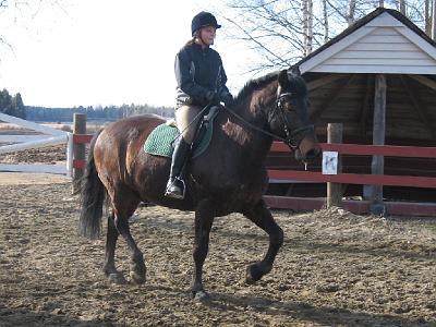 erkki023[1].jpg - Anni ja Erkki